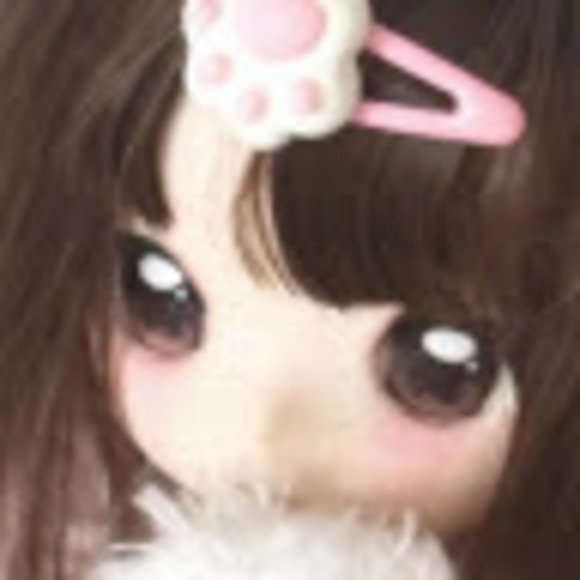 hollychen228